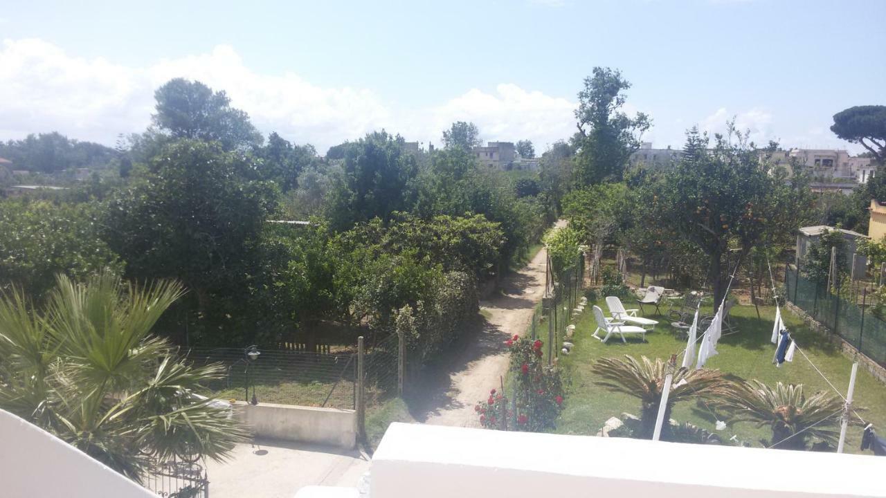 Green Island Apartment Procida Bagian luar foto
